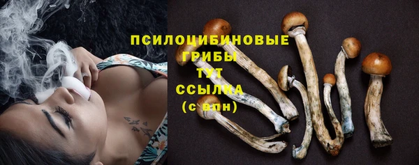 MDMA Premium VHQ Богданович