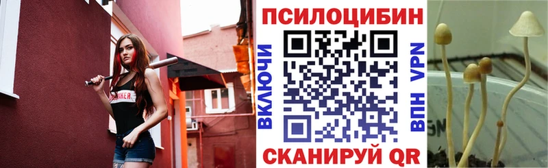 продажа наркотиков mega как войти Галлюциногенные грибы мицелий Няндома